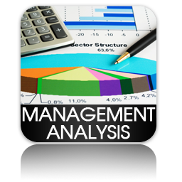 Management Analysis